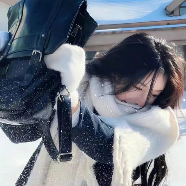 野探哈莉第三季